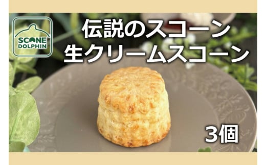 伝説 生クリームスコーン 3個【人気 看板商品 しっとり 冷凍 冷凍スコーン 本場 イギリス 焼き菓子 スイーツ 水戸市 水戸 茨城県 5000円以内】（AR-9） 1600025 - 茨城県水戸市