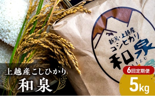 【令和6年産】上越産こしひかり『和泉』5kg 6回定期便 上越市 精米 米　 1593008 - 新潟県上越市