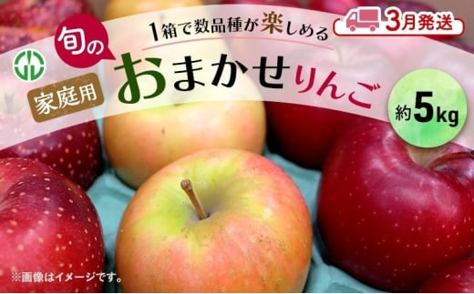 [№5554-0242]りんご 【 3月発送 】 家庭用 旬のりんご 品種おまかせ 約 5kg 2品種～4品種