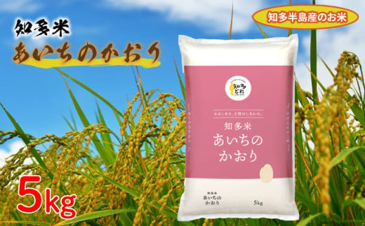 知多米 あいちのかおり 5kg 米 愛知  知多 特産品 南知多 1412510 - 愛知県南知多町