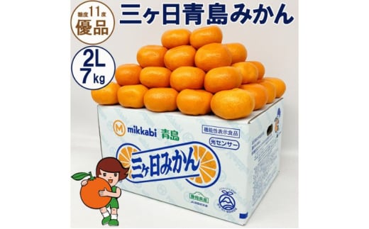 三ヶ日青島みかん【優品】2Lサイズ 7kg (40個前後) ミカン 果物 くだもの フルーツ 甘い 浜松市 [№5360-0136]