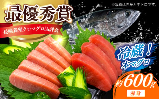 【長崎県養殖クロマグロ品評会最優秀賞！】 五島列島産 養殖 生 本マグロ 赤身 計約600g マグロ まぐろ 鮪 刺身 ブロック 冷蔵 [RBN015]