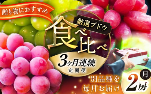 【全3回定期便】【2025年先行予約】【数量限定】【秀品】毎月ぶどうをお届け！イチオシ3品種 各2房 島根県雲南市/ギアファーム [AIAB010]