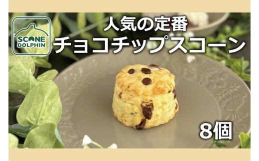 チョコチップスコーン 8個【人気 しっとり 冷凍 冷凍スコーン ミルクチョコレート チョコレート 本場 イギリス 焼き菓子 スイーツ 水戸市 水戸 茨城県 15000円以内】（AR-16） 1600073 - 茨城県水戸市