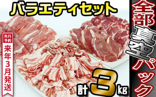 《2025年3月発送》 ありすぽーく おまかせカットのバラエティセット 総量3000g ／ 豚肉 バラ ロース モモ ヒレ