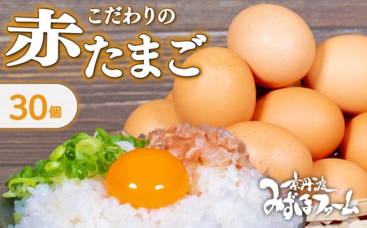 京都 こだわり卵 赤たまご 30個 (割れ保証4個含む) 卵 たまご 濃い 玉子 セット 玉子焼き 卵焼き オムレツ 卵かけご飯 ゆで卵 鶏卵 卵黄 玉子スープ 玉子サンド 玉子焼き 玉子丼 5000円 ふるさと納税卵 ふるさと納税たまご 日用品 消耗品 tamago 生卵 国産 まとめ買い 京都府 京丹波町 瑞穂 みずほファーム ふるさと納税 純国産 鶏