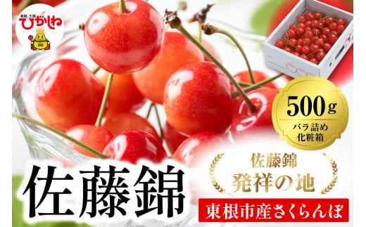 2025年 山形県東根市産さくらんぼ「佐藤錦」500gバラ詰め 東根農産センター提供 山形県 東根市 hi027-171-1 566013 - 山形県東根市