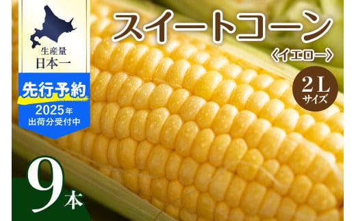 【先行予約】【2025年産】北海道十勝芽室町 とうもろこし 2L 9本入り me002-021c-25 686022 - 北海道芽室町