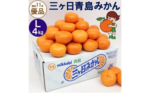 三ヶ日青島みかん【優品】Lサイズ 4kg (30個前後) ミカン 果物 くだもの フルーツ 甘い 浜松市 [№5360-0133]