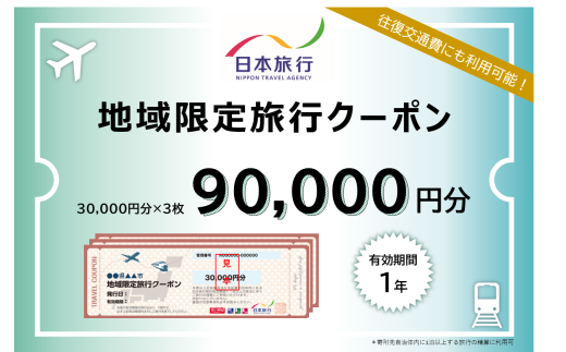 【東京都台東区】日本旅行 地域限定旅行クーポン [90,000円分] 1929153 - 東京都台東区