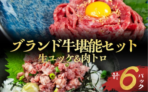 和牛ユッケ＆肉トロ 生食牛肉セット（源氏和牛ユッケ / 段戸山高原牛肉トロ）タレ付  生食用牛肉