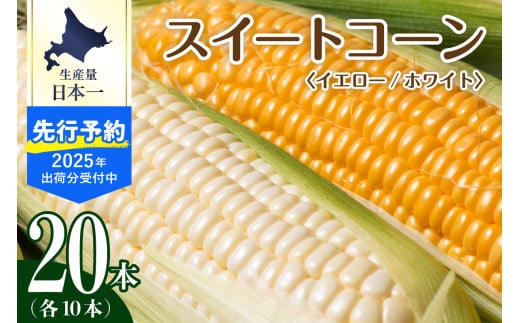 【先行予約】【2025年産】北海道十勝芽室町 とうもろこし イエロー種10本 ホワイト種10本 me002-016c-25 982055 - 北海道芽室町