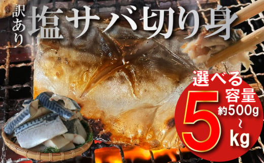 訳あり 塩サバ 切り身 約500g~約5kg 冷凍 鯖 塩 さば 魚 さかな 海鮮 海産物 おかず サバ 鯖ご飯 おすすめ 人気 さば サバ 鯖 魚 魚介 海鮮 惣菜 塩サバ 塩鯖 焼き鯖 サバ 焼きさば 焼さば 減塩 塩 鯖 さば サバ おすすめ 人気 ふるさと納税 鯖 サバ さば ふるさと納税さば 愛知県南知多町 南知多 株式会社 山太 さば 鯖 人気 おすすめ 愛知県 南知多町