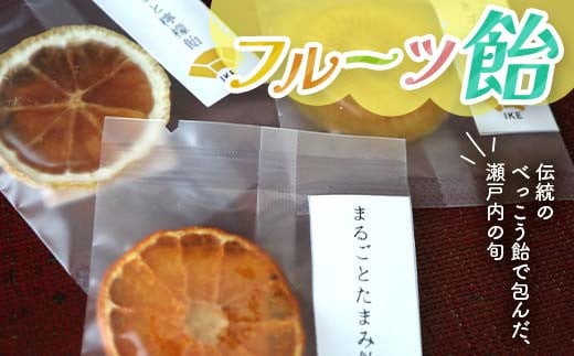 こんぴら池商店【フルーツ飴菓子】フルーツ飴　9枚（棒なし） 瀬戸内レモン さぬきゴールド たまみ みかん 伝統 あめ 飴 おやつ おみやげ ギフト フルーツ 香川県 F5J-492 1610881 - 香川県琴平町