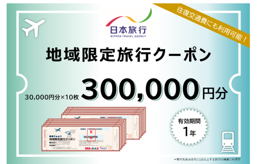 【東京都台東区】日本旅行 地域限定旅行クーポン [300,000円分] 1929155 - 東京都台東区