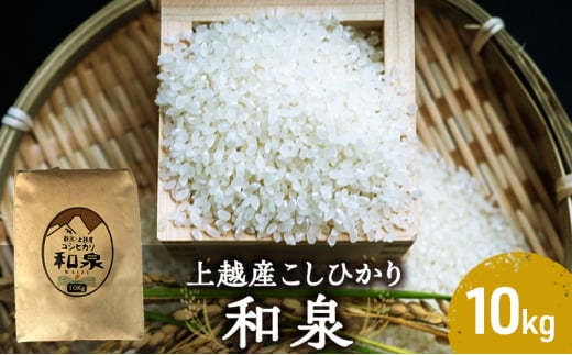 【令和6年産】上越産こしひかり『和泉』10kg 上越市 精米 米　　 1593007 - 新潟県上越市