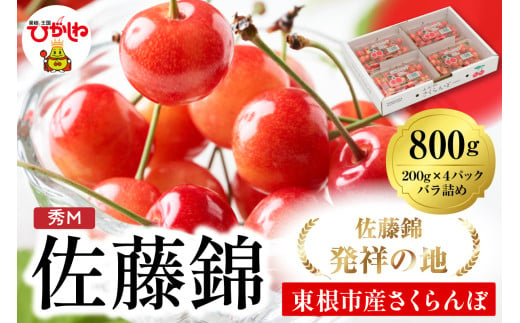 2025年 山形県東根市産さくらんぼ「佐藤錦」800g(200g×4ﾊﾟｯｸ)  東根農産センター提供 hi027-173-1