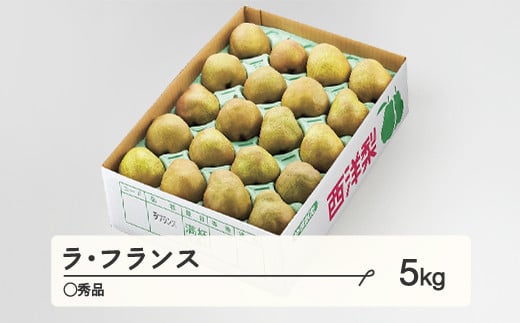 ラ・フランス〇秀品 ご家庭用 約5kg(12~20個程度)  洋梨  2024年産 山形県産 ※沖縄・離島への配送不可 tf-lamxx5 1582622 - 山形県山辺町