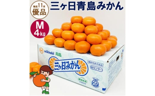 三ヶ日青島みかん【優品】Mサイズ4kg (36個前後) ミカン 果物 くだもの フルーツ 甘い 浜松市 [№5360-0130]