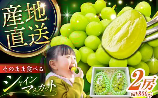 【2025年先行予約】【8月初旬頃から順次発送】皮ごと食べれる！シャインマスカット 2房 約800g 島根県雲南市/池田ぶどう農園　 [AIAA002] 1589743 - 島根県雲南市 |