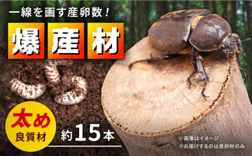 クヌギ爆産材 オリジナル 産卵材 カブトムシ クワガタ クヌギ 【ふるさと昆虫】 [YDV006] 1587019 - 熊本県山都町