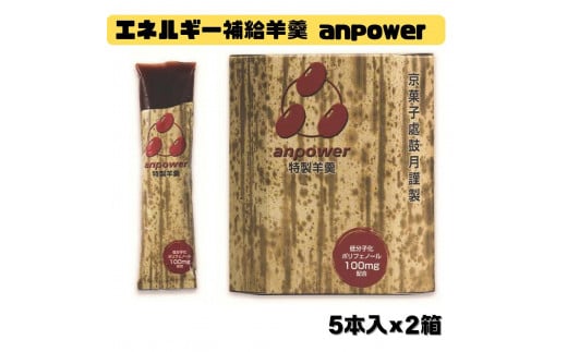 [鼓月]エネルギー補給羊羹 anpower 2箱(5本入×2) [ 京都 老舗 和菓子 スポーツ羊羹 人気 おすすめ お取り寄せ 通販 補給食 アミノ酸 行動食 スポーツ ランニング トレーニング ロードバイク サイクリング 登山 アウトドア ふるさと納税]