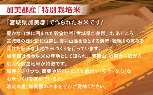 宮城県加美町のふるさと納税 【 定期便 3回 】米 無洗米 金芽米 令和6年 宮城県 加美産 ひとめぼれ 特別栽培米 計 30kg ( 10kg × 3回 ) カブアンド お歳暮 お年賀 正月 プレゼント おせち [ 宮城県 加美町 ]   km00016-r6-10kg-t3