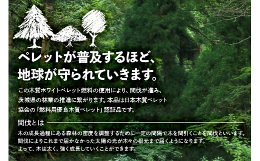 茨城県石岡市のふるさと納税 木質 ホワイトペレット 10kg × 2袋 燃料 木質ペレット 間伐材 エコ 暖房用 クリーン燃料 バイオマス ストーブ用 国産 送料無料 (G724)