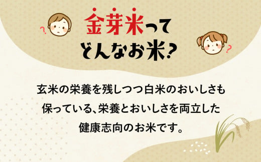 宮城県加美町のふるさと納税 【 定期便 3回 】米 無洗米 金芽米 令和6年 宮城県 加美産 ひとめぼれ 特別栽培米 計 30kg ( 10kg × 3回 ) カブアンド お歳暮 お年賀 正月 プレゼント おせち [ 宮城県 加美町 ]   km00016-r6-10kg-t3