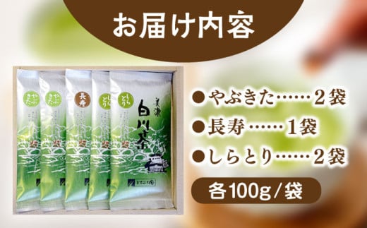 岐阜県白川町のふるさと納税 ますぶち園の白川茶 5袋詰め合わせ 100g×5袋 / お茶 白川茶 茶葉 / 白川町 / 株式会社ますぶち園 [AWAC002]