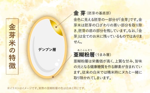 宮城県加美町のふるさと納税 【 定期便 3回 】米 無洗米 金芽米 令和6年 宮城県 加美産 ひとめぼれ 特別栽培米 計 30kg ( 10kg × 3回 ) カブアンド お歳暮 お年賀 正月 プレゼント おせち [ 宮城県 加美町 ]   km00016-r6-10kg-t3