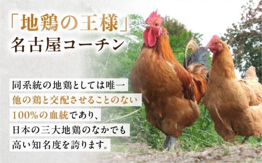 愛知県田原市のふるさと納税 期間限定 鶏三和 名古屋コーチン ローストチキン 4本 鶏肉 クリスマス チキン