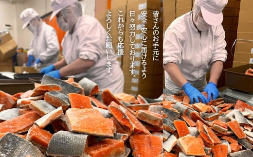 宮城県塩竈市のふるさと納税 訳あり 鮭 天然 紅鮭 〈 骨なし 〉 冷凍 切り落とし 1.1kg【 鮭 骨取り 甘塩 仕立て 宮城県 塩竈市 ヤマコ武田商店 】 yt00002-1100g