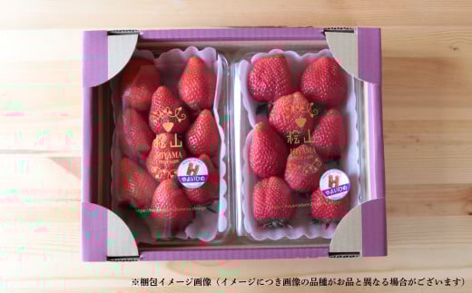 いちご様 リクエスト 2点 まとめ商品 まとめ売り