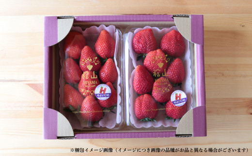 特大デラックスサイズ大粒いちご！茨城県産ブランド苺「いばらキッス」を朝採れの新鮮なままお届け！