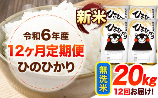 令和6年産 新米 【12ヶ月定期便】 無洗米 ひのひかり 20kg 《お申し込み月の翌月から出荷開始》 熊本県産 無洗米 精米 ひの 送料無料 熊本県 山江村 SDGs 米 コメ こめ 国産