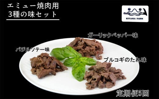 【5か月定期便】エミュー焼肉用3種の味セット【エミュー 基山産 高タンパク 高鉄分 低カロリー ヘルシー ジビエ 貴重肉 鉄分補給】F3-C006302