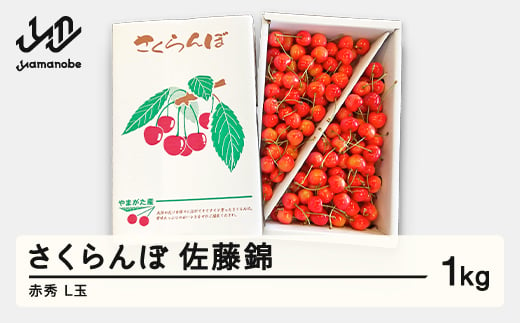 先行予約 さくらんぼ 佐藤錦 赤秀 L玉 1kg バラ詰 ご家庭用 2025年産 令和7年産 山形県産 mm-snalx1000 1660781 - 山形県山辺町