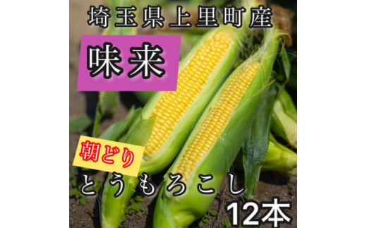 ＜先行受付2025年夏発送＞とうもろこし　味来　2Lサイズ×12本　計5kg(梱包込み)【1564847】