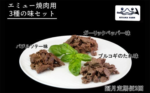 【隔月2回】エミュー焼肉用3種の味セット【エミュー 基山産 高タンパク 高鉄分 低カロリー ヘルシー ジビエ 貴重肉 鉄分補給】B5-C006305