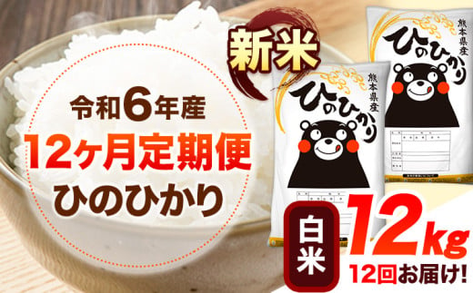 令和6年産 新米 【12ヶ月定期便】 白米 ひのひかり 12kg 《お申し込み月の翌月から出荷開始》 熊本県産 白米 精米 ひの 送料無料 熊本県 山江村 SDGs 米 コメ こめ 国産 1607356 - 熊本県山江村