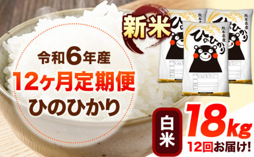 令和6年産 新米 【12ヶ月定期便】 白米 ひのひかり 18kg 《お申し込み月の翌月から出荷開始》 熊本県産 白米 精米 ひの 送料無料 熊本県 山江村 SDGs 米 コメ こめ 国産 1607358 - 熊本県山江村