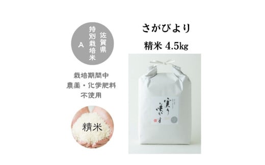 【令和6年産】「実り咲かす」農薬・化学肥料不使用 さがびより 白米4.5㎏［A0106-0007］ 1734946 - 佐賀県佐賀県庁