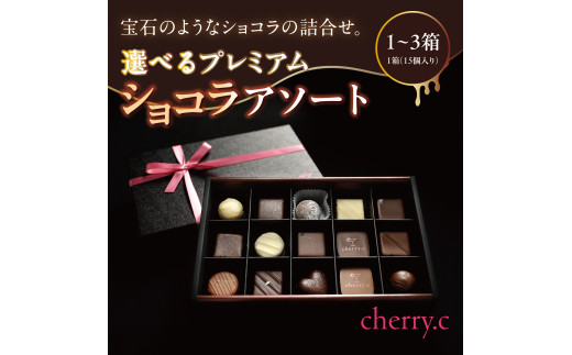 プレミアム ショコラ アソート [選べる容量][cherry.c][ チョコレート スイーツ ギフト ]