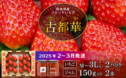 【2025年2月～3月発送】高級いちご「古都華」３L～M２パック＆古都華ジャム2個　無添加 古都華 奈良県生まれのいちご 華やかな香り 高い糖度 ほどよい酸味 深みのある濃厚な味わいが特徴 保存料不使用 加工品 フルーツ 果物 お取り寄せ 奈良県 生駒市 送料無料