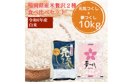 令和6年産 福岡県産 米 食べ比べ＜白米＞セット「夢つくし」と「元気つくし」2種類 計10kg入り [a8472] 株式会社 ゼロプラス 【返礼品】添田町 ふるさと納税 1084199 - 福岡県添田町