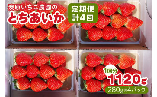 [定期便／4回] 澳原いちご農園のとちあいか定期便 (毎月お届け 計4回)｜いちご イチゴ 苺 とちあいか フルーツ 果物 果実 産地直送 栃木県産 期間限定 数量限定 先行予約 [0604]