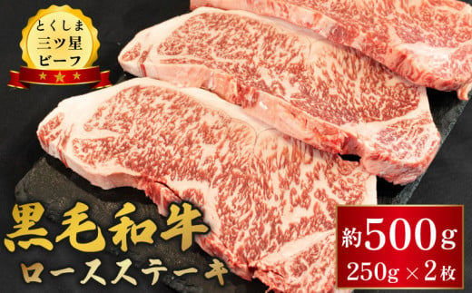 黒毛和牛 牛肉 ロース ステーキ 500g (250g×2枚) とくしま三ツ星ビーフ 牛肉 ぎゅうにく 牛 ビーフ 肉 阿波牛 ブランド すきやき すき焼き 牛丼 焼肉 ビーフ BBQ アウトドア キャンプ おかず おつまみ 惣菜 弁当 日用 お祝い 誕生日 記念日 ギフト 贈答 プレゼント お取り寄せ グルメ 冷凍 小分け 送料無料 徳島県 阿波市 肉の藤原 1598391 - 徳島県阿波市