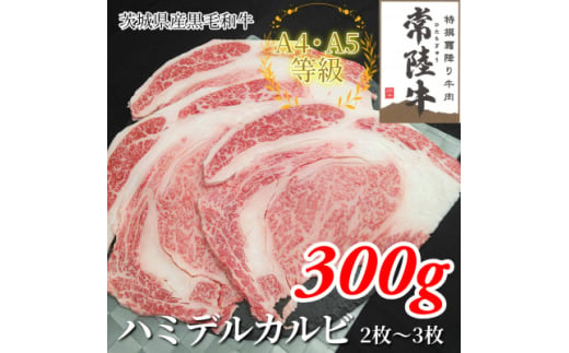 ＜常陸牛＞ハミデルカルビ 300g(2～3枚)【1560446】