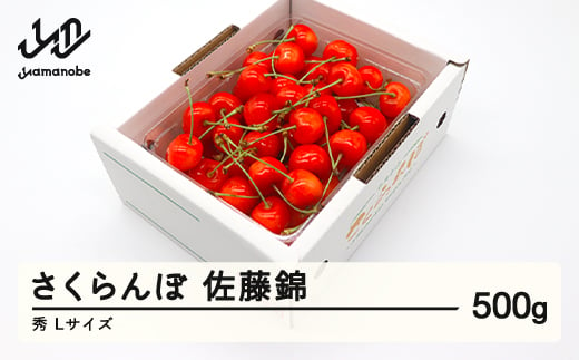 先行予約 さくらんぼ 佐藤錦 秀品 L玉 500g バラ詰 2025年産 令和7年産 山形県産 mm-snbax500